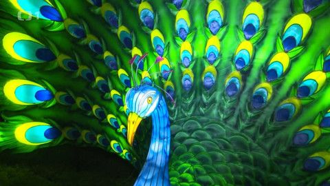 Objektiv - 29. srpna 2021