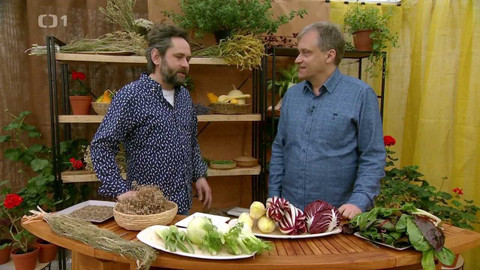 Polopatě - 27. února 2022