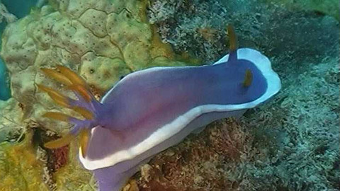 Objektiv - 15. srpna 2004