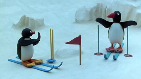 Pingu - Pingu na lyžích