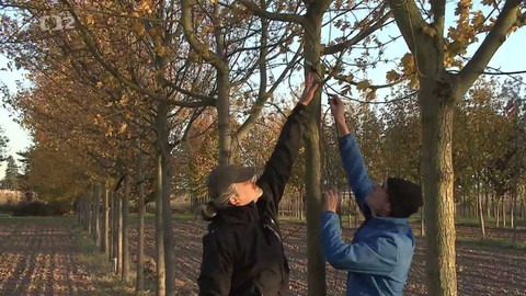 Nedej se! - Příliš drahá škola