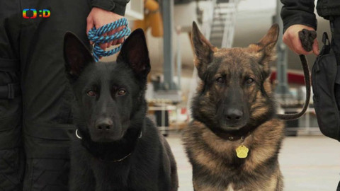 Jak to lítá na letišti - Gumovací stroj