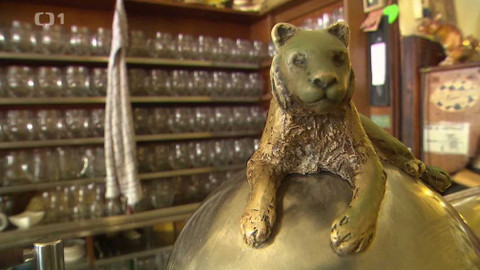 Z metropole - 1. února 2020