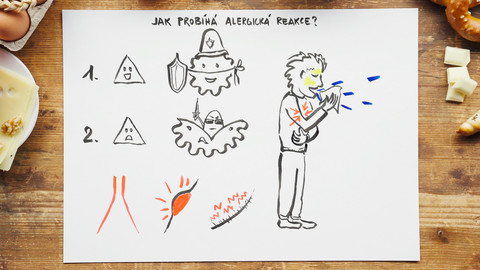 What the Fact? - Jaký je rozdíl mezi potravinovou alergií a intolerancí?