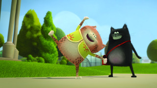 Splat & Harry