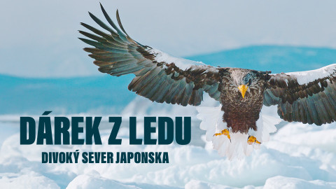 Dárek z ledu: Divoký sever Japonska