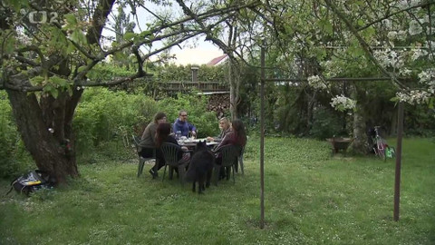 Nedej se! - Krajina k nakousnutí