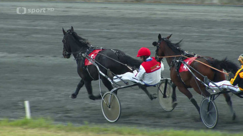 Dostihy - České klusácké derby