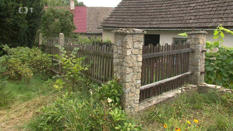 Černé ovce - 30. listopadu 2022