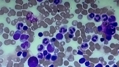 Tep 24 - 10. září 2011