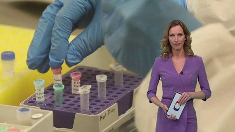 Horizont ČT24 - 13. března 2020