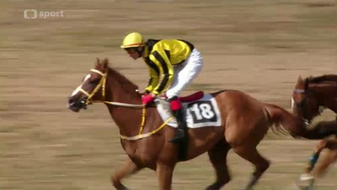 Turf - 28. srpna 2013