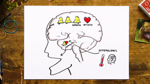 What the Fact? - Proč zíváme?