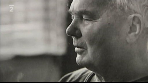 Kultura.cz - 29. května 2010