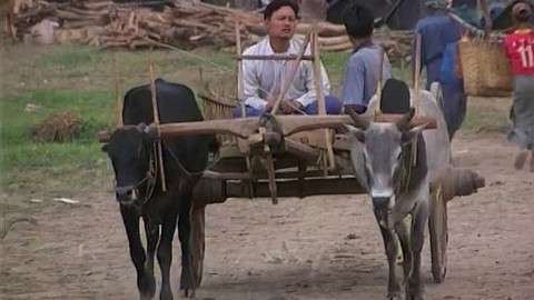 Objektiv - 17. října 2004