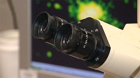 Tep 24 - 12. ledna 2013