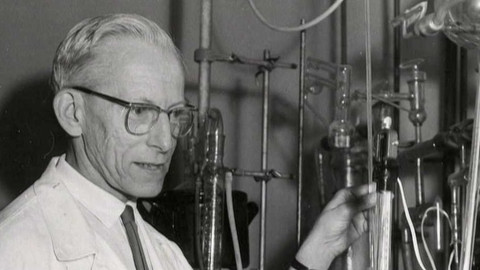 České Expo v Dubaji - Česká prvenství