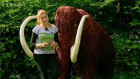 Bydlení je hra - 30. července 2009