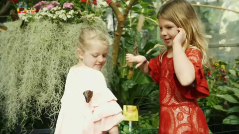 Zprávičky - 19. března 2018