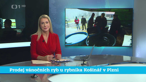 Události v regionech (jih a západ) - 18. prosince