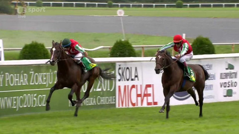 Jezdectví - Velká cena Prahy