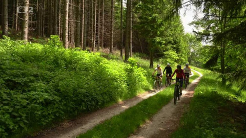 Cyklotoulky - Jeseníky