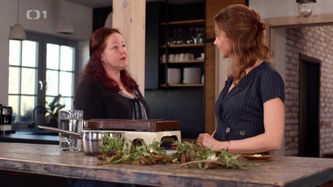 Co naše babičky uměly a na co my jsme zapomněli - Báječná pampeliška