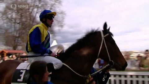 Turf - 15. dubna 2015