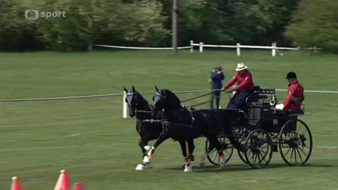 Jezdectví - Mezinárodní závody spřežení CAI Kladruby