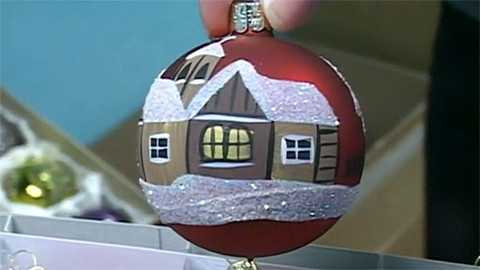 Toulavá kamera - 23. prosince 2012