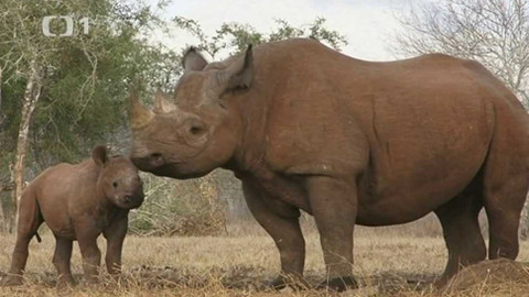 Objektiv - 16. prosince 2012