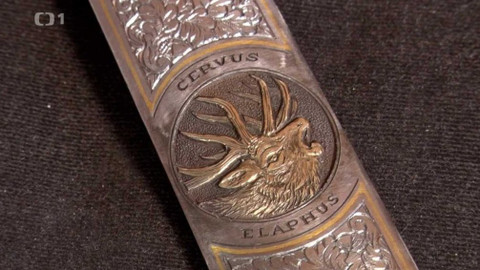 Gejzír - 21. května 2020