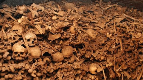 Ta naše povaha česká - Jenom kosti?