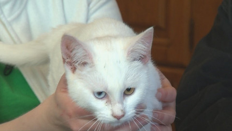 Chcete mě? - 20. prosince 2017