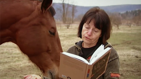 Magnesia Litera - 15/24 Nominace Magnesia Litera 2012