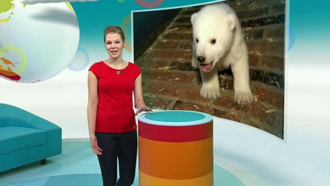 Zprávičky - 14. ledna 2017