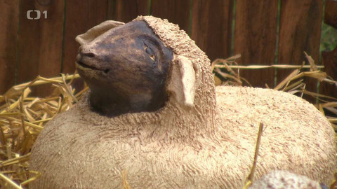 Z metropole - 17. prosince 2022