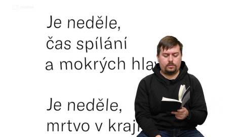 Jedna báseň - Martin Šenkypl