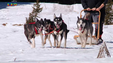 Cestohrátky - Itálie