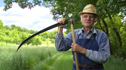 Folklorika - Když zpívají kosy