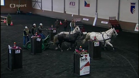 Jezdectví - Halové závody jezdeckých spřežení Hradištko