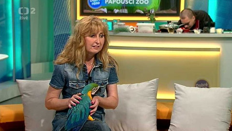 Dobré ráno - 18. června 2013