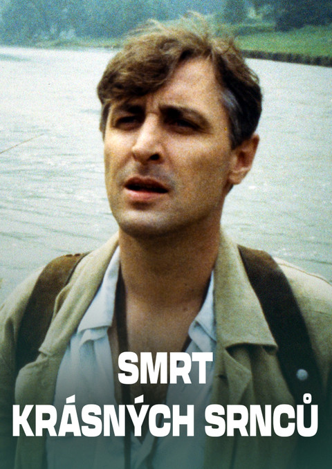 Smrt krásných srnců