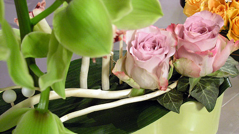 Sama doma - 4. dubna 2013