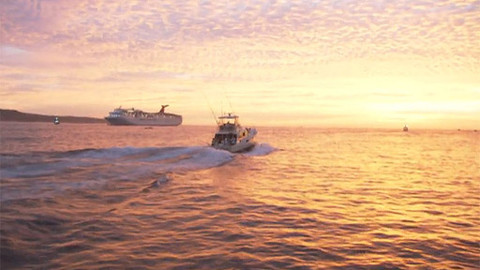 Objevování planety Oceán - 13/13 Plodné moře