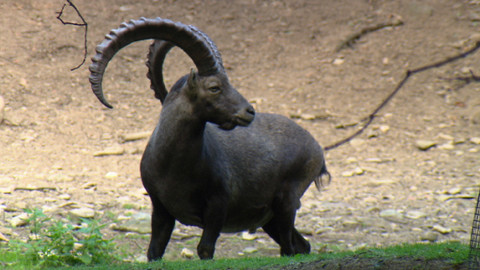 Chcete mě? - 23. listopadu 2014