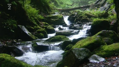 Nedej se! - Bude se v Beskydech těžit?