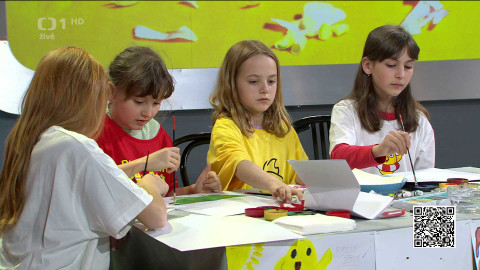 Pomozte dětem - 3/4 Denní vstup