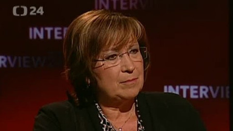 Interview ČT24 - 9. července 2013