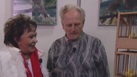 Dobrá rada nad zlato - 19. září 2009